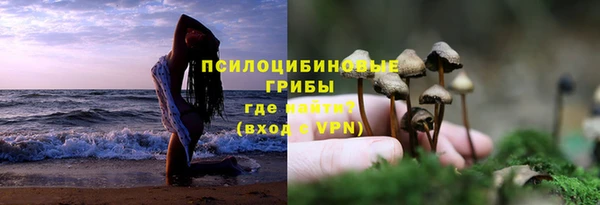 2c-b Верхний Тагил