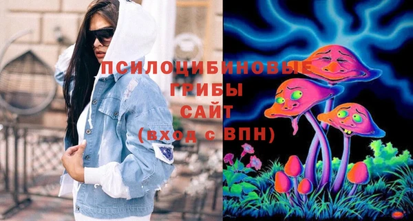 2c-b Верхний Тагил