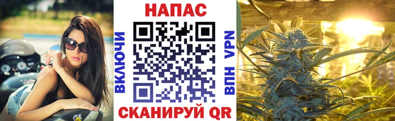 Конопля конопля  Хотьково 